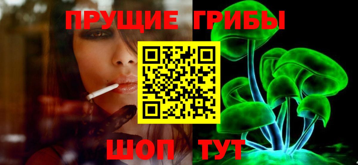 Галлюциногенные грибы Psilocybe Советская Гавань